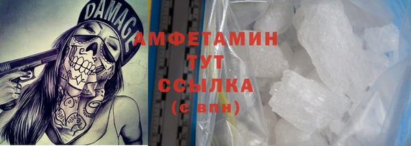 прущие грибы Абинск