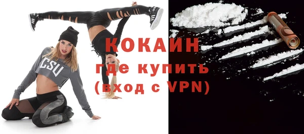 прущие грибы Абинск