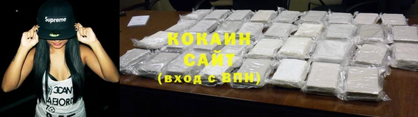 прущие грибы Абинск