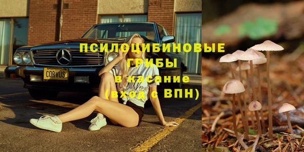 а пвп мука Абдулино