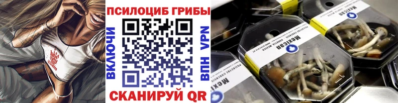 Галлюциногенные грибы GOLDEN TEACHER Электроугли