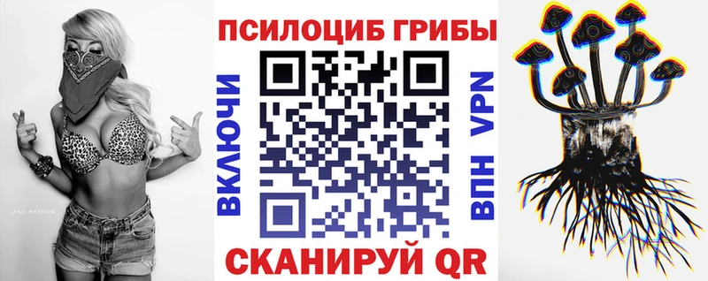 Псилоцибиновые грибы GOLDEN TEACHER Электроугли